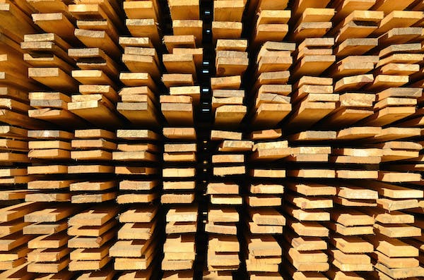 66fdc7383cabd9f257a6aa9c Adobestock 90547468