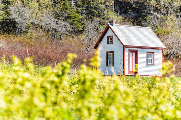 66fdc740d4ea387b1ca5a943 Adobestock 183680210