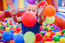 66fdc742d4ea382fd6a5a94a Bounce