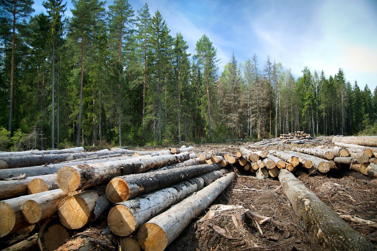 66fdc78236c97e77d68b7122 Adobestock 191917594