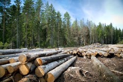 66fdc78236c97e77d68b7122 Adobestock 191917594 66fdc78236c97e77d68b7122 Adobestock 191917594