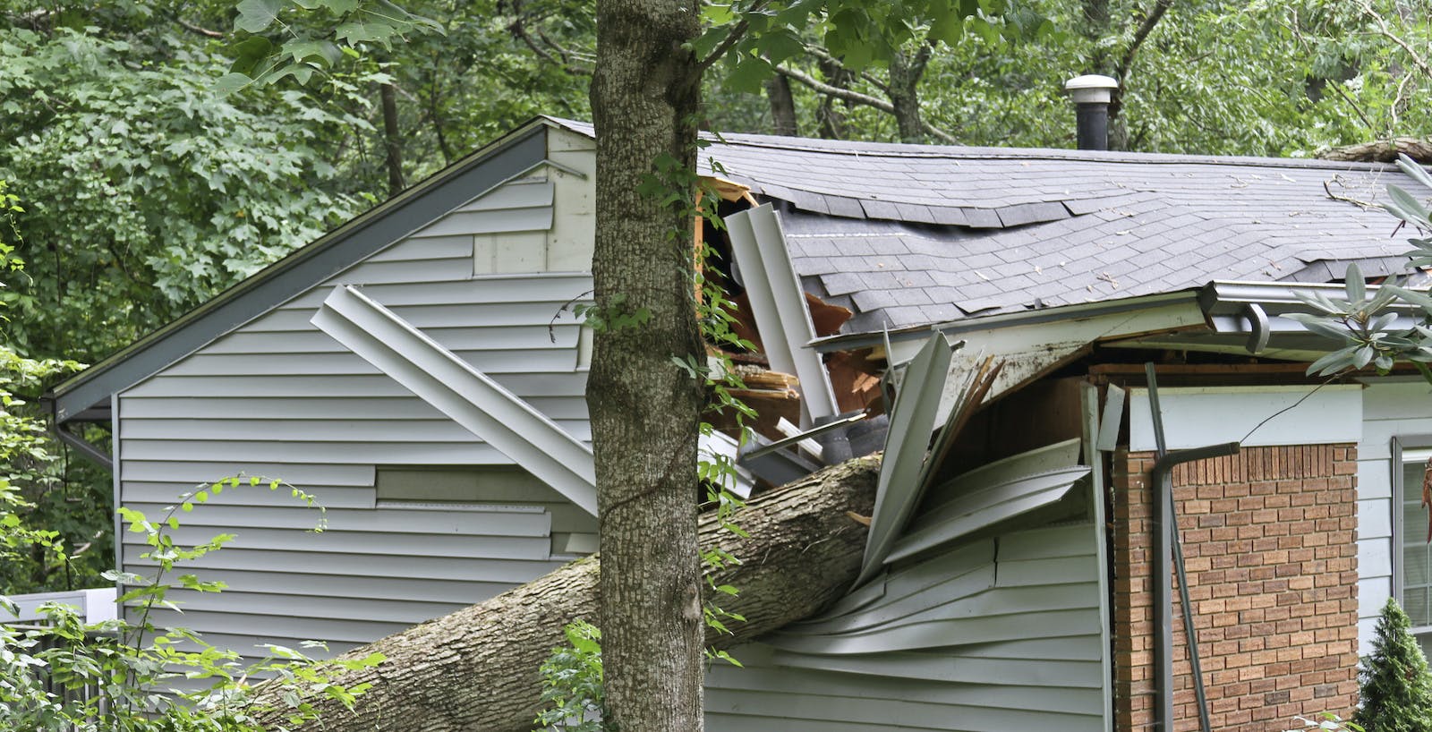 66fdc7e7e1fd4a0dafe2013f Storm20damage