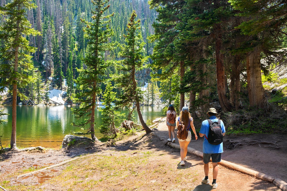 66fdc7ea3cabd96a9ca6abec Adobestock 293994921