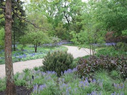 66fdc7f701d3bfc4d3af8a3a Spring 66fdc7f701d3bfc4d3af8a3a Spring