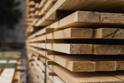 66fdc812e1fd4a6bc5e201a1 Adobestock 314688912 66fdc812e1fd4a6bc5e201a1 Adobestock 314688912