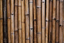 66fdc819dbd68e3ee84ab8eb Adobestock 282483849 66fdc819dbd68e3ee84ab8eb Adobestock 282483849