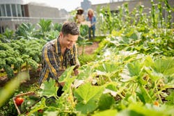 66fdc81b3cabd92058a6ac29 Adobestock 297365629 66fdc81b3cabd92058a6ac29 Adobestock 297365629