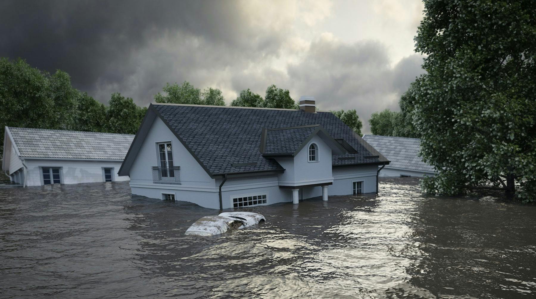 66fdc861d4ea385e10a5ab0b Idamin