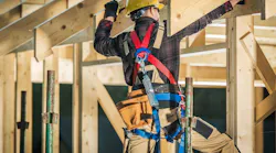 Photo: Tomasz Zajda | Stock adobe