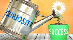 Photo: Stock adobe Photo: Stock adobe