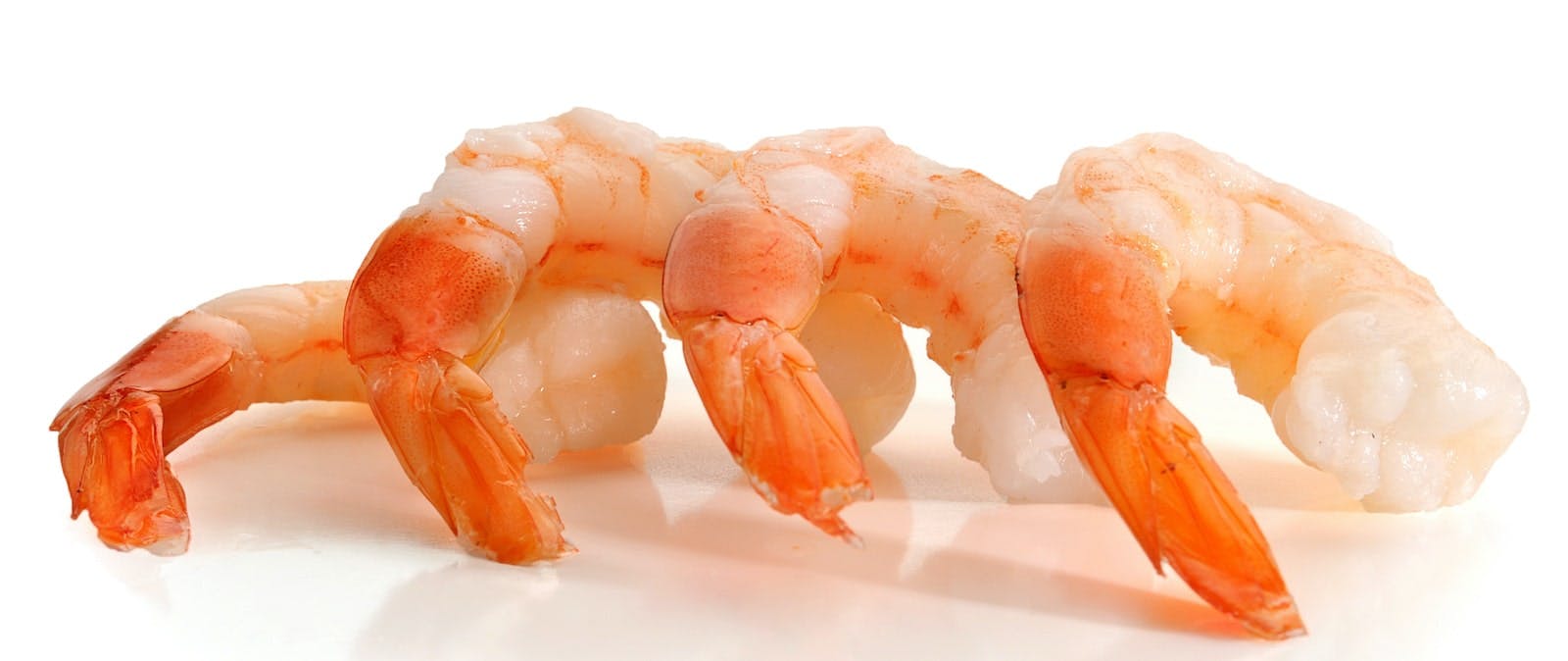 66fdc87fe1fd4acfc0e20287 Jumbo20shrimpmin