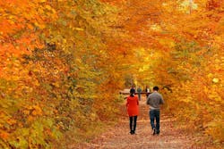 66fdc88fe1fd4af249e20299 Vermontmin 66fdc88fe1fd4af249e20299 Vermontmin