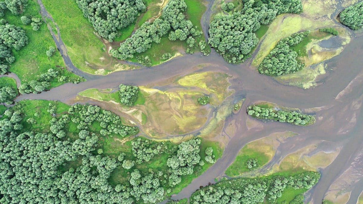 66fdc896d4ea3816b3a5ab71 Wetlandsmin