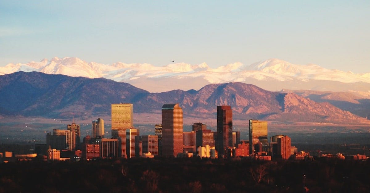 66fdc8a436c97e0fdc8b7344 Denvermin