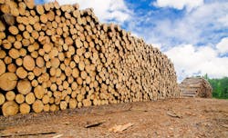 66fdc8aaa5dba0ee8746374d Lumber20yardmin 66fdc8aaa5dba0ee8746374d Lumber20yardmin