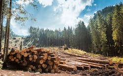 66fdc8aba897b50fb8b21084 Lumber20suppliesmin 66fdc8aba897b50fb8b21084 Lumber20suppliesmin