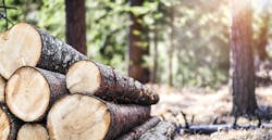 66fdc8b0a5dba01807463755 Lumber20min 66fdc8b0a5dba01807463755 Lumber20min