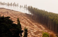 66fdc8cfa897b5fa0cb210c2 Clear20cutmin 66fdc8cfa897b5fa0cb210c2 Clear20cutmin