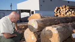 A Slow Reaction By Sawmills Amid Strong Demand For Lumber During The Pandemic Has Resulted In Record Breaking Lumber Prices | Photo: U s Department Of Agriculture (cc By 2