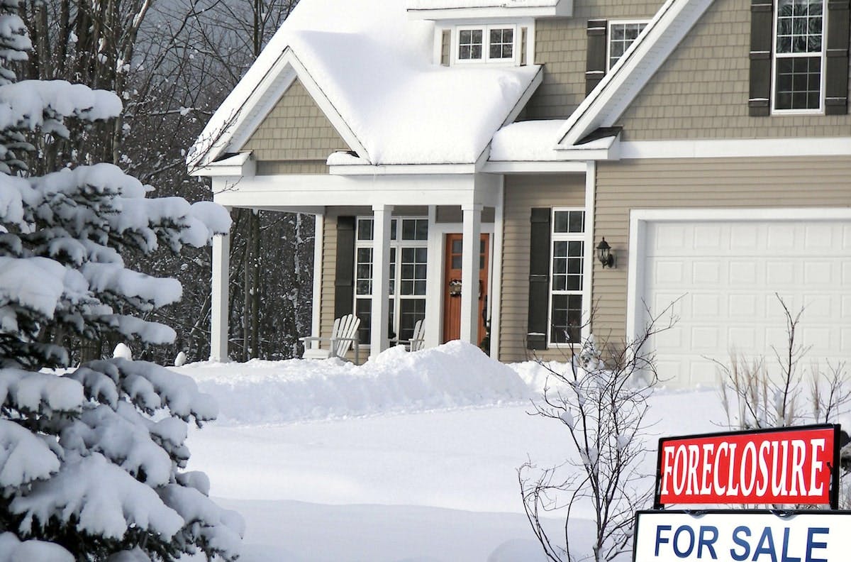 66fdc8e001d3bf9cceaf8c15 January20homemin