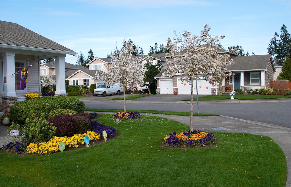 66fdc8e801d3bf9121af8c1e Spring20homemin