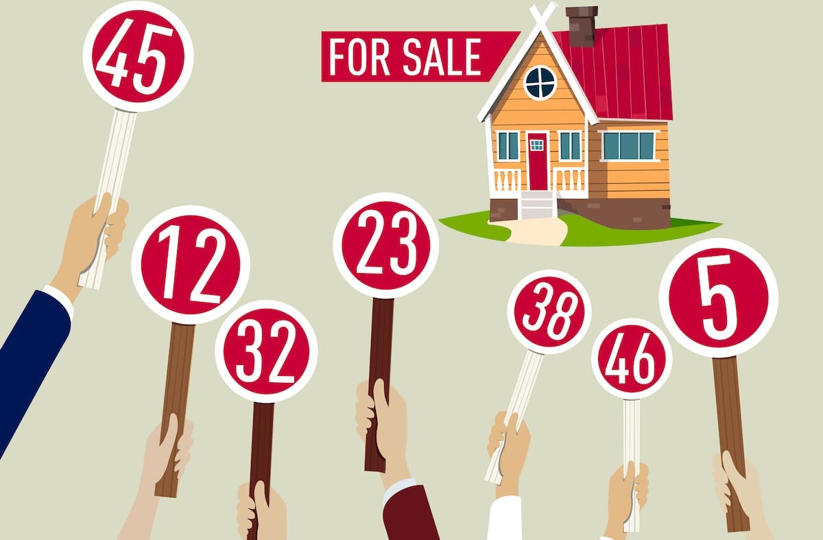 66fdc8f101d3bf7648af8c34 Home20bidmin