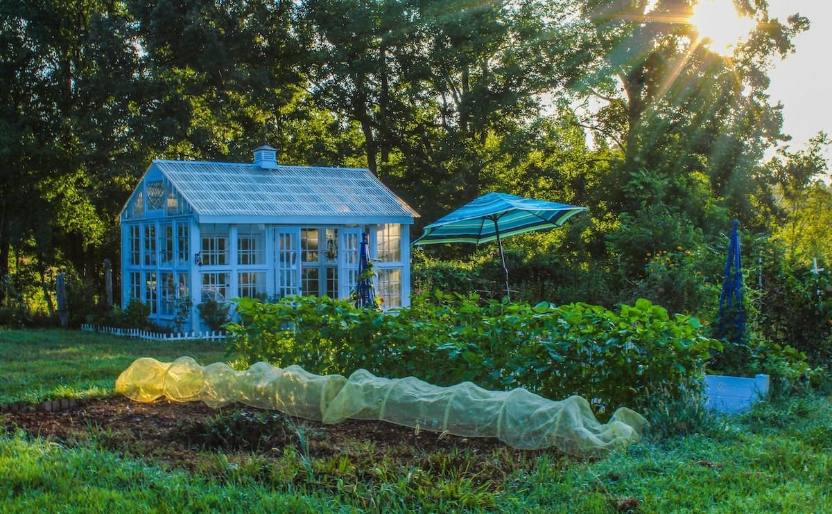 66fdc8f536c97e2d108b73d9 Garden20she20shedmin