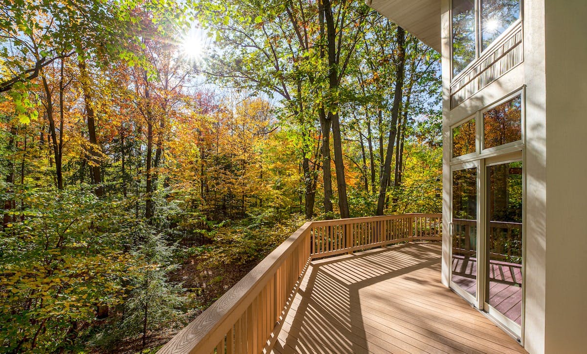 66fdc8fc36c97ec0518b73f1 Forest20homemin