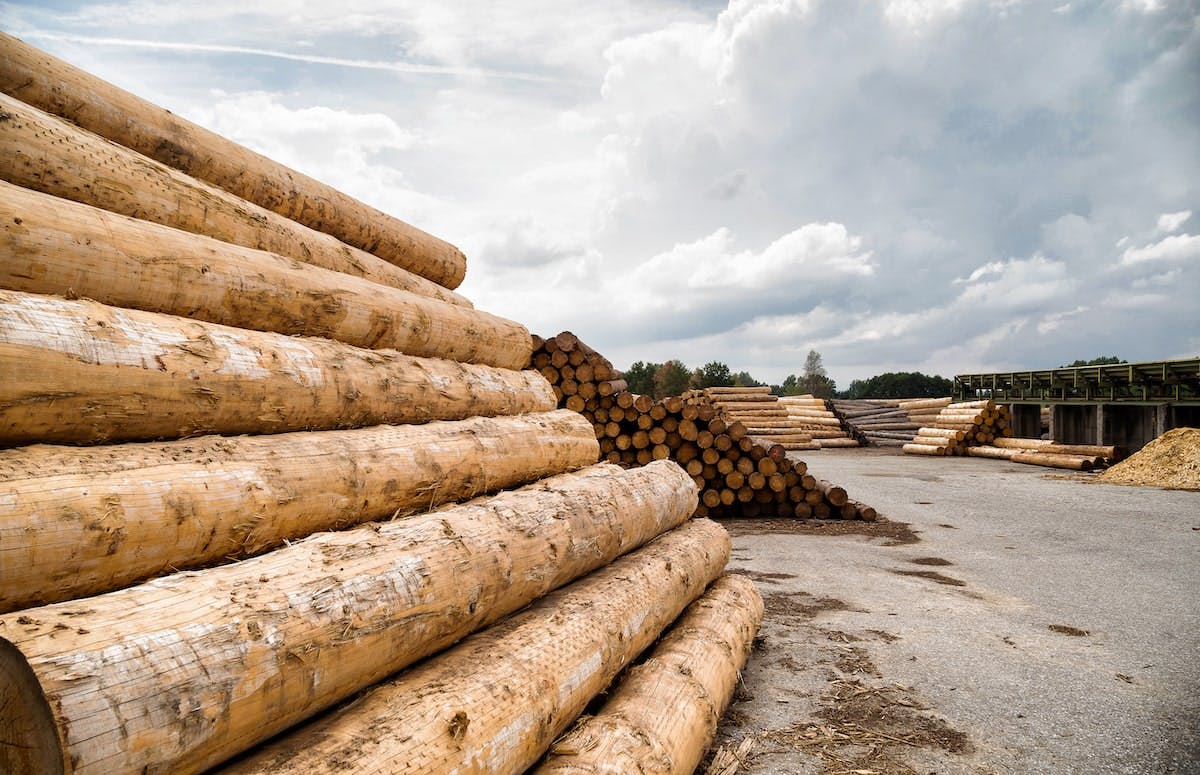 66fdc905dbd68e67ac4ababf Logging20millmin