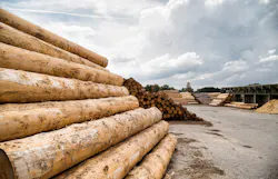 66fdc905dbd68e67ac4ababf Logging20millmin 66fdc905dbd68e67ac4ababf Logging20millmin