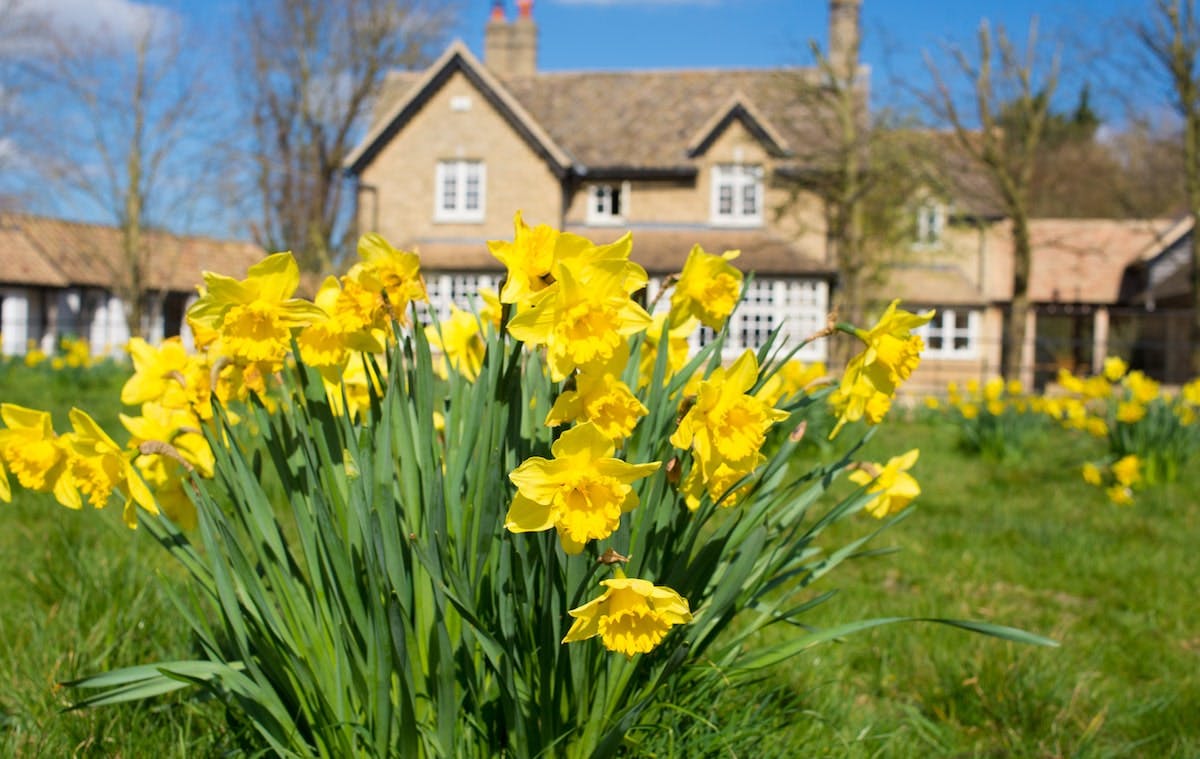 66fdc9193cabd9811ea6adf4 Spring20homemin201