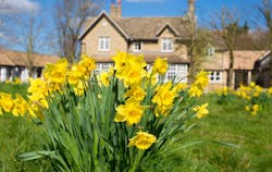 66fdc9193cabd9811ea6adf4 Spring20homemin201 66fdc9193cabd9811ea6adf4 Spring20homemin201