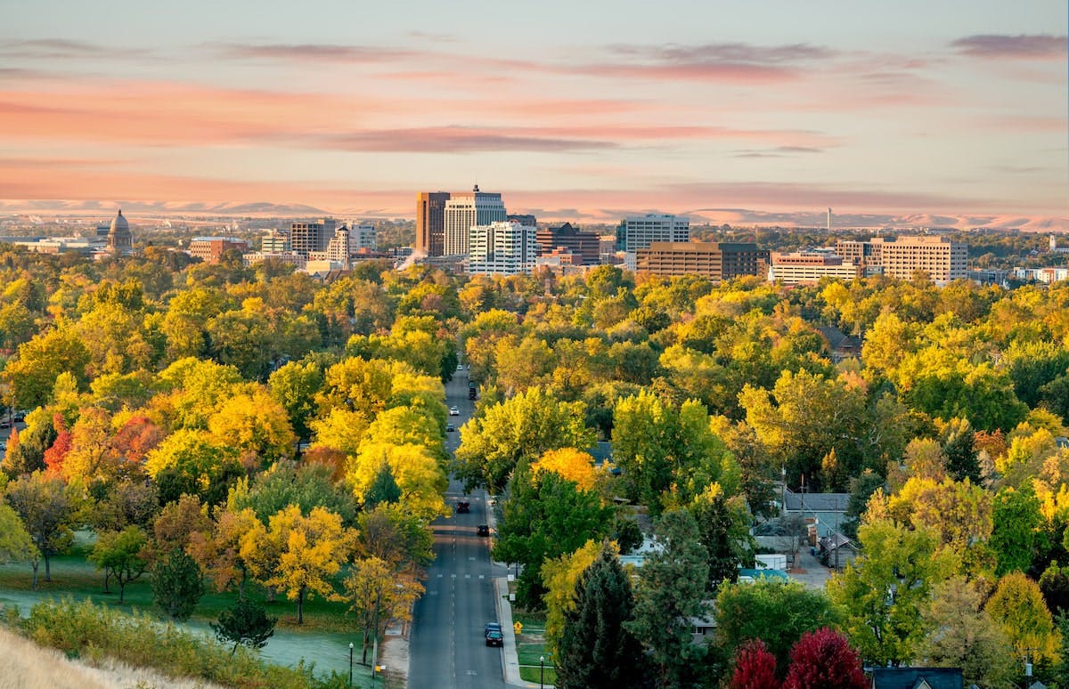 66fdc9573cabd9df56a6ae78 Boise20idmin201