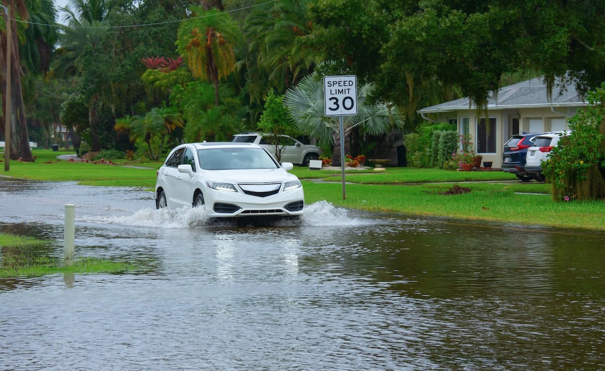 66fdc98edbd68eee294abba5 Neighborhood20floodmin