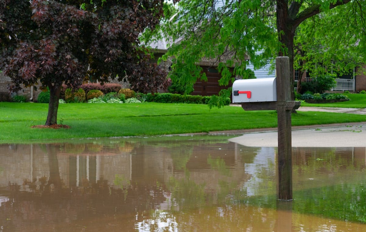 66fdc99fa5dba052874638f0 Flood20mailboxmin