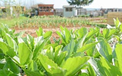 66fdc9c8e1fd4a8e91e204bd Garden20shedsmin 66fdc9c8e1fd4a8e91e204bd Garden20shedsmin