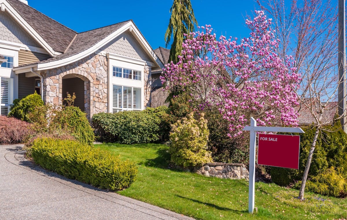 66fdc9dea5dba06bee463980 For20salemin203