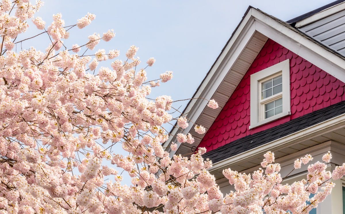 66fdc9fba5dba0f2964639b2 Spring20flowers20housemin