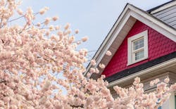 66fdc9fba5dba0f2964639b2 Spring20flowers20housemin 66fdc9fba5dba0f2964639b2 Spring20flowers20housemin