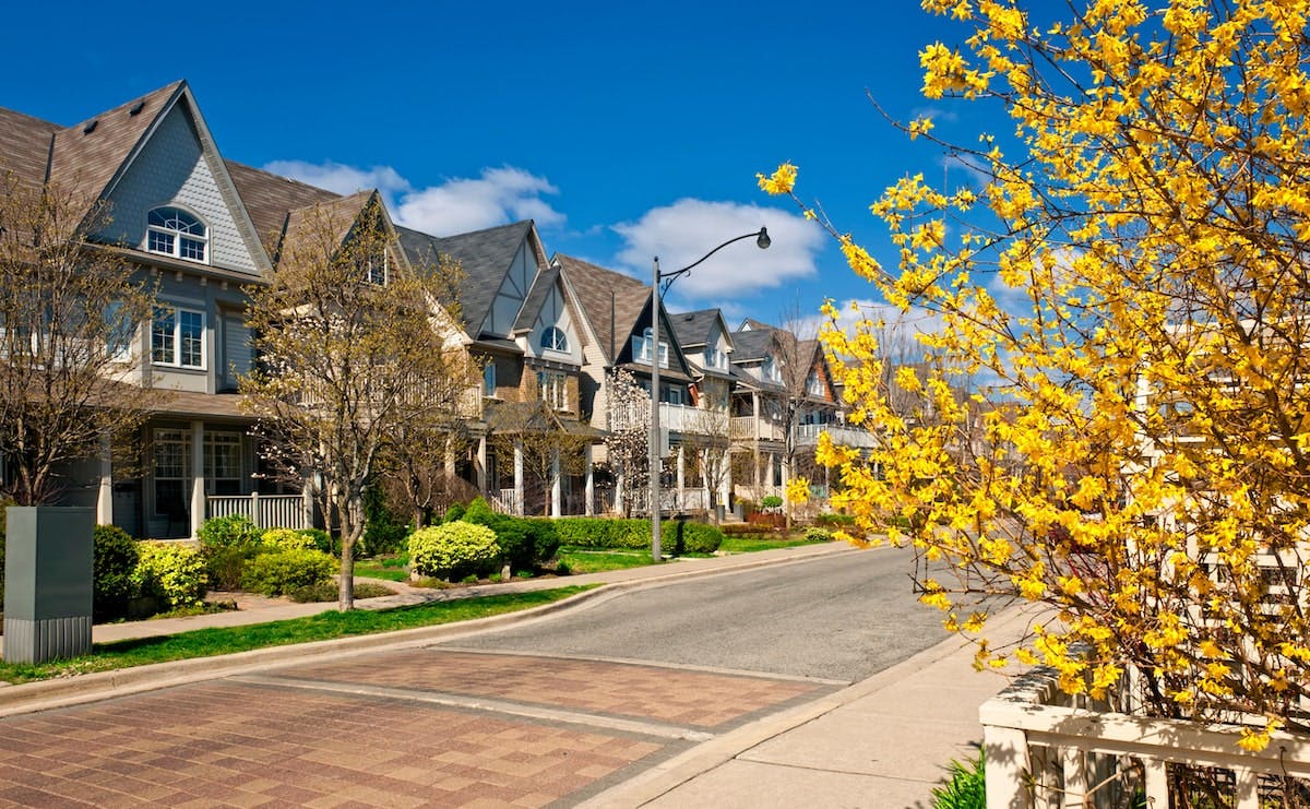 66fdc9fe3cabd99ff6a6afb8 Spring20tree20housesmin