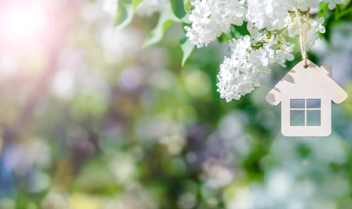 66fdca06a897b55728b212e6 House20springmin