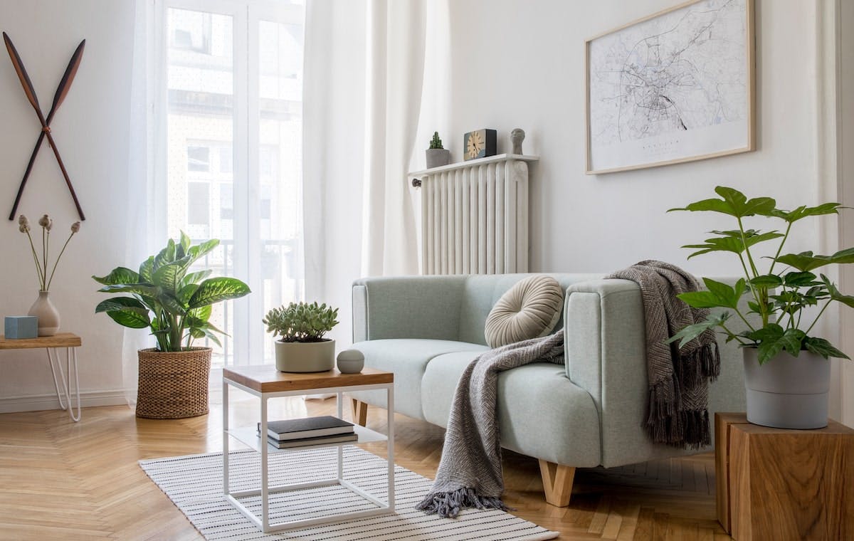 66fdca14e63fdc61a5459b8d Biophilic20homemin