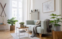 66fdca14e63fdc61a5459b8d Biophilic20homemin 66fdca14e63fdc61a5459b8d Biophilic20homemin