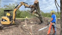 66fdca26de5fd1386b54a041 Mstreetrimmingdisasterrelief1600x900min 66fdca26de5fd1386b54a041 Mstreetrimmingdisasterrelief1600x900min