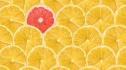 Image: Radub85 / Stock adobe