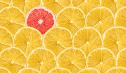 66fdca3b01d3bfc4d5af8e9c Standingoutfromothersmin 1 66fdca3b01d3bfc4d5af8e9c Standingoutfromothersmin 1