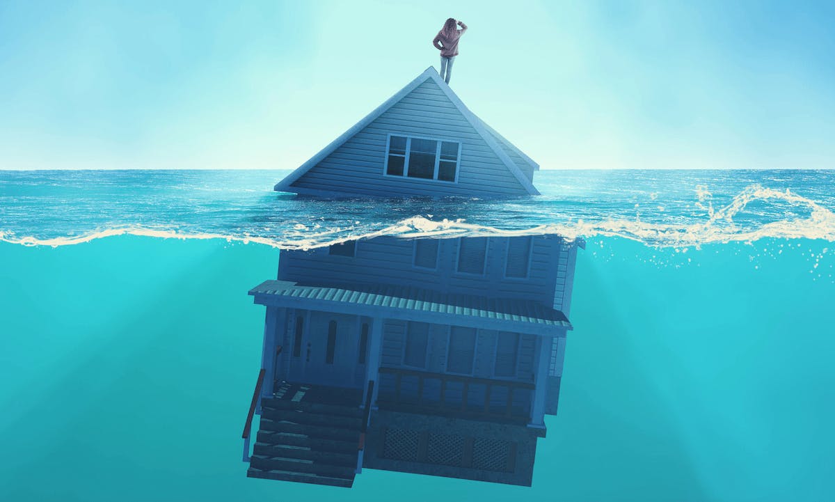 Image: Allvision /Stock adobe