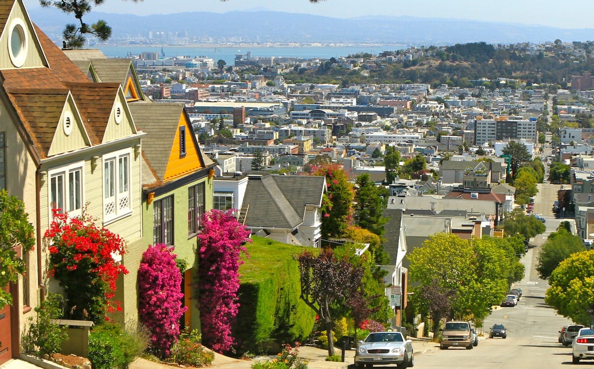 66fdca7f3cabd9b532a6b0b5 Sf20neighborhoodmin