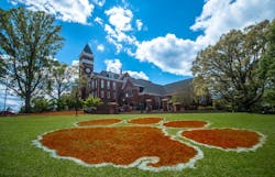 66fdca8aa897b53a03b213ea Clemsonmin 66fdca8aa897b53a03b213ea Clemsonmin