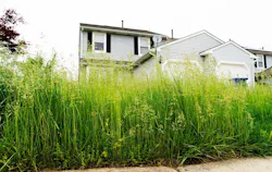 66fdca92a5dba004e1463b0e Vacant20housesmin